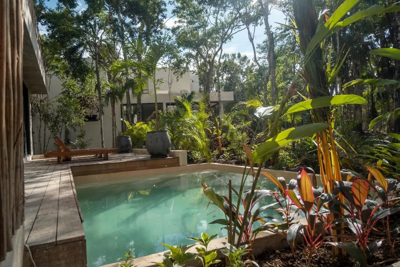 Villa Xuncari En El Corazon De La Selva Tulum