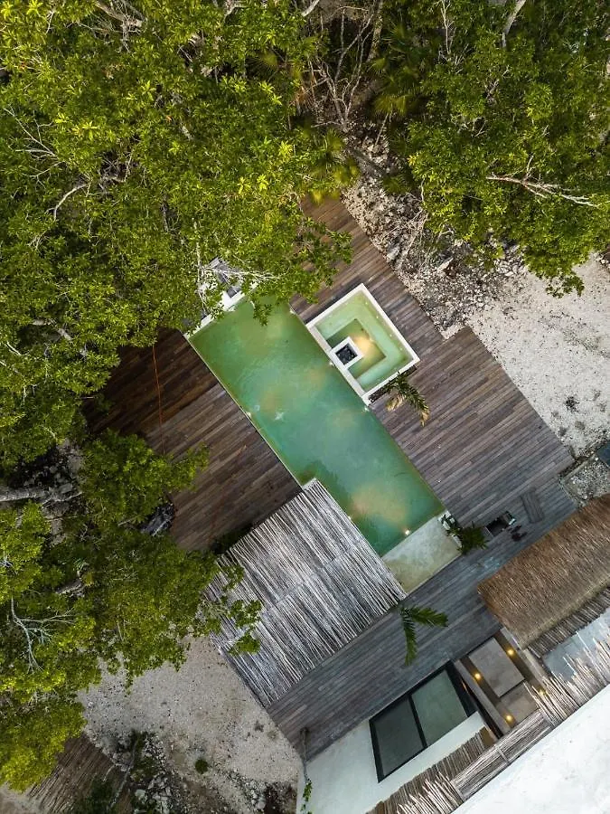Villa Xuncari En El Corazon De La Selva Tulum Mexico